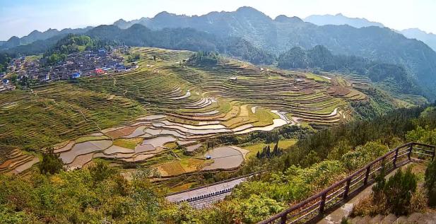 足不出户也可“饱餐”秀色，贵州丹寨首推“线上旅游”慢直播