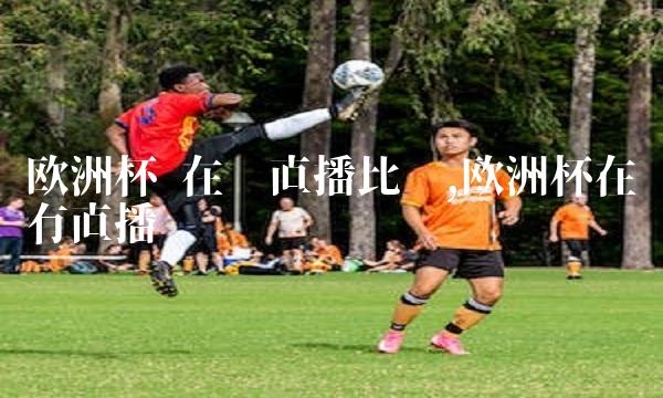 与东道主波兰和乌克兰一起参加2016年欧洲杯决赛圈的比赛