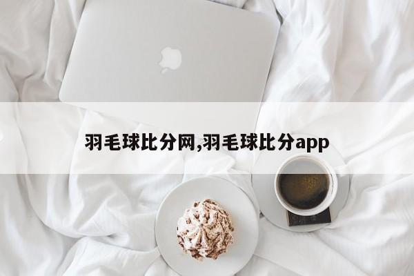 羽毛球比分网,羽毛球比分app