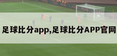 足球比分app,足球比分APP官网