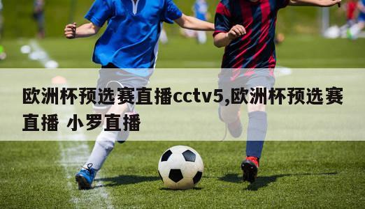 欧洲杯预选赛直播cctv5,欧洲杯预选赛直播 小罗直播