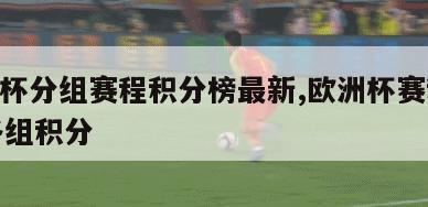 欧洲杯分组赛程积分榜最新,欧洲杯赛程2021各组积分