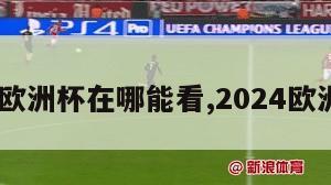 2024欧洲杯在哪能看,2024欧洲杯杯