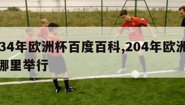 2034年欧洲杯百度百科,204年欧洲杯在哪里举行