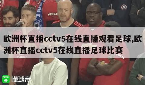 欧洲杯直播cctv5在线直播观看足球,欧洲杯直播cctv5在线直播足球比赛