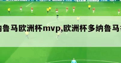 多纳鲁马欧洲杯mvp,欧洲杯多纳鲁马扑点球