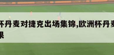 欧洲杯丹麦对捷克出场集锦,欧洲杯丹麦对捷克结果