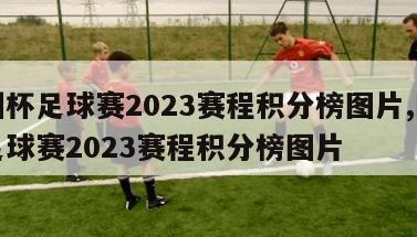 欧洲杯足球赛2023赛程积分榜图片,欧洲杯足球赛2023赛程积分榜图片