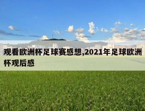 观看欧洲杯足球赛感想,2021年足球欧洲杯观后感