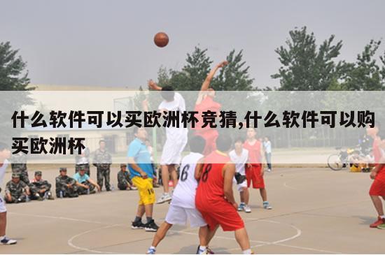 什么软件可以买欧洲杯竞猜,什么软件可以购买欧洲杯