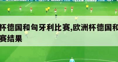 欧洲杯德国和匈牙利比赛,欧洲杯德国和匈牙利比赛结果