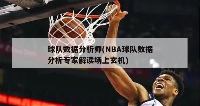 球队数据分析师(NBA球队数据分析专家解读场上玄机)