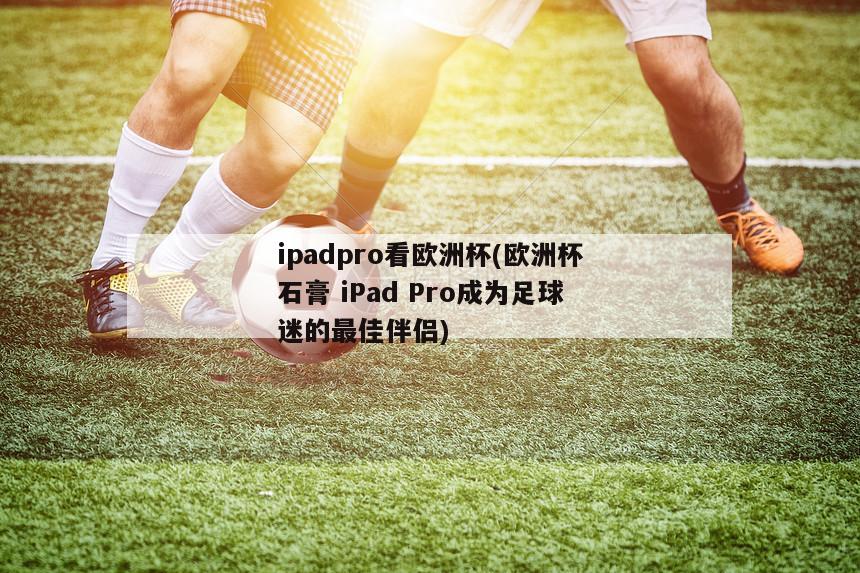 ipadpro看欧洲杯(欧洲杯石膏 iPad Pro成为足球迷的最佳伴侣)