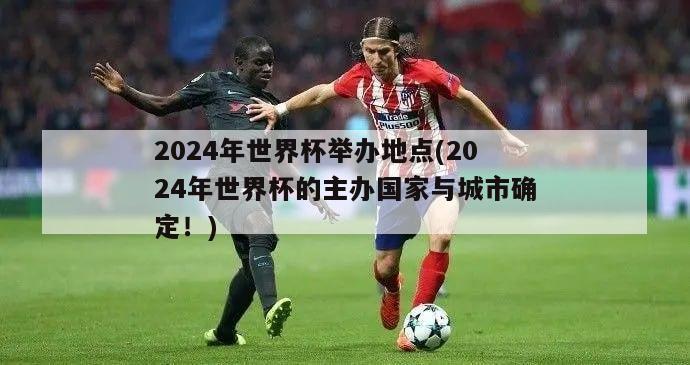 2024年世界杯举办地点(2024年世界杯的主办国家与城市确定！)